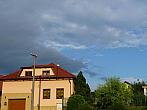 Třibřichy
